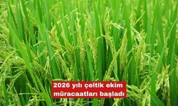 2026 yılı çeltik ekim müracaatları başladı