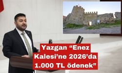 Ahmet Baran Yazgan, Enez Kalesi’ni yeniden TBMM’ye taşıdı
