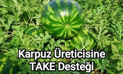 Edirne’de karpuz üretimine %50 Hibe