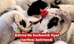 Edirne’de kurbanlık fiyat tarifesi belirlendi