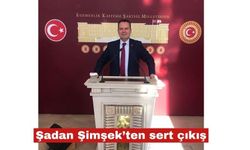 Şadan Şimşek’ten sert çıkış: "Geç ödeme çiftçiye ceza"