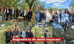 Gülver: "Geleneksel hale getireceğiz"