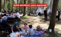 Dallık Şenlikleri, yarın yapılacak