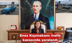Enez Kaymakamı Merve Ayık trafik kazasında yaralandı
