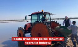 İpsala Ovası’nda çeltik tohumları toprakla buluştu