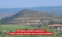 Yanan alanda dikilen fidanlar boy vermeye başladı