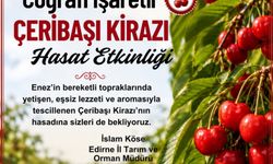Çeribaşı Kirazı Hasat Etkinliği 22 Haziran’da