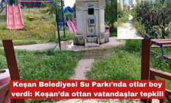 Keşan Belediyesi Su Parkı’nda otlar boy verdi