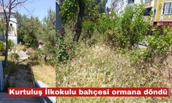 Kurtuluş İlkokulu bahçesi ormana döndü