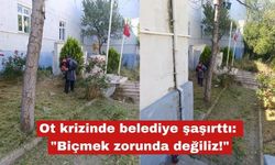 "Ot" krizinde belediye şaşırttı: "Biçmek zorunda değiliz!"