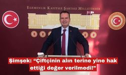 Şimşek: “Çiftçinin alın terine yine değer verilmedi!