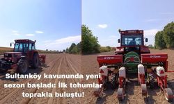 Sultanköy kavununda yeni sezon başladı