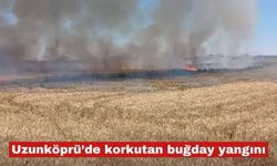 Uzunköprü’de korkutan buğday yangını
