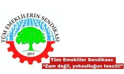 Tüm Emekliler Sendikası: “Zam değil, yoksulluğun tescili!”