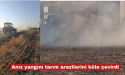 Anız yangını tarım arazilerini küle çevirdi
