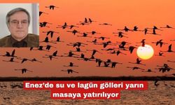 Enez’de su ve lagün gölleri yarın masaya yatırılıyor