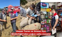 Keşan Tarım ve Orman İlçe Müdürlüğü'nden yoğun saha mesaisi