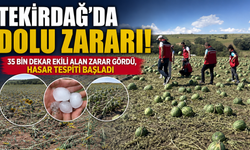 35 Bin ekili alan zarar gördü