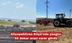 Aliçopehlivan Köyü'nde yangın: 50 dekar arazi zarar gördü