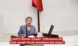 Yontar: "Çiftçimizin bir yıllık emeği kül oluyor"