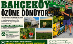 Bahçeköy'de yerli üretim yeniden canlanıyor