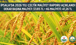 İpsala’da 2026 yılı çeltik maliyet raporu açıklandı