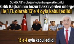 Mehmet Özcan'ın GÜNEKAB'taki birlik huzur hakkı 1 TL oldu
