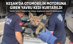 Keşan’da otomobilin motoruna giren yavru kedi kurtarıldı