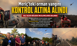 Meriç'teki orman yangını kontrol altına alındı
