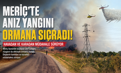 Meriç’te anız yangını ormana sıçradı