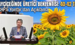 Nurten Yontar’ın ayçiçeği fiyatları ile ilgili açıklaması