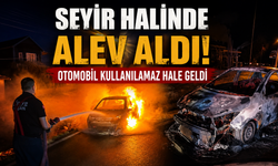 Keşan'da seyir halinde alev alan otomobil yandı