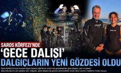 Saros Körfezi’nde ‘gece dalışı’ dalgıçların yeni gözdesi
