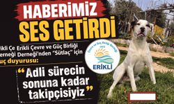 Gazetemizin haberi gündem yarattı