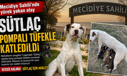 "Sütlaç" pompalı tüfekle katledildi