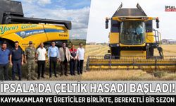 İpsala'da çeltik hasadı heyecanı başladı