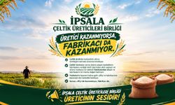 Çeltik Üreticilerinden acil çeltik fiyatı çağrısı!