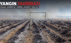 Keşan'da Lavanta tarlasında yangın