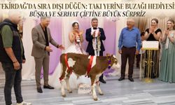Düğünde gelin ve damada takı yerine buzağı hediye edildi