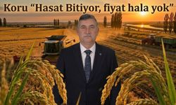 Koru “Hasat Bitiyor, Fiyat Hâlâ Yok”