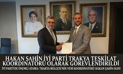 Şahin'e, İYİ Partiden yeni görev