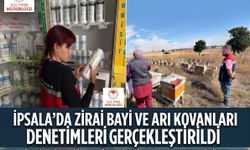 Zirai Bayi ve Arı Kovanı denetimleri gerçekleştirildi