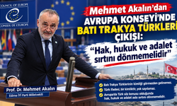 Akalın'dan Avrupa Konseyi’nde Batı Trakya Türkleri çıkışı