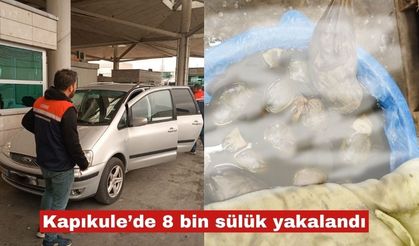 Kapıkule'de kaçak 8 bin adet sülük ele geçirildi