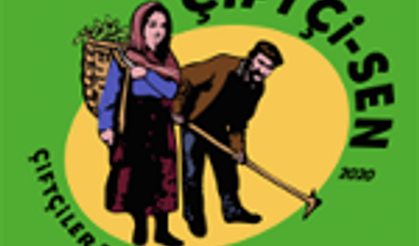 Çiftçi-Sen: Ayçiçeğini üretenler değil, şirketler kazanıyor!