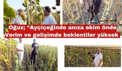 Oğuz; “Ayçiçeğinde anıza ekim önde