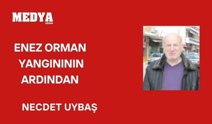 Enez orman yangınının ardından aklıma düşenler