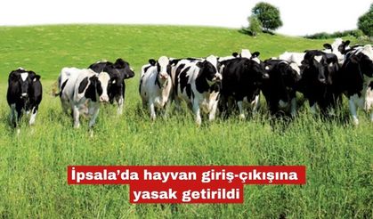İpsala’da hayvan giriş-çıkışına yasak getirildi