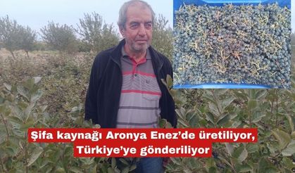 Şifa kaynağı Aronya Enez’de üretiliyor
