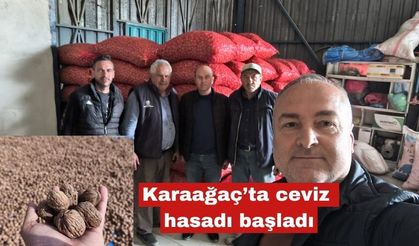 İpsala Karaağaç’ta ceviz hasadı başladı